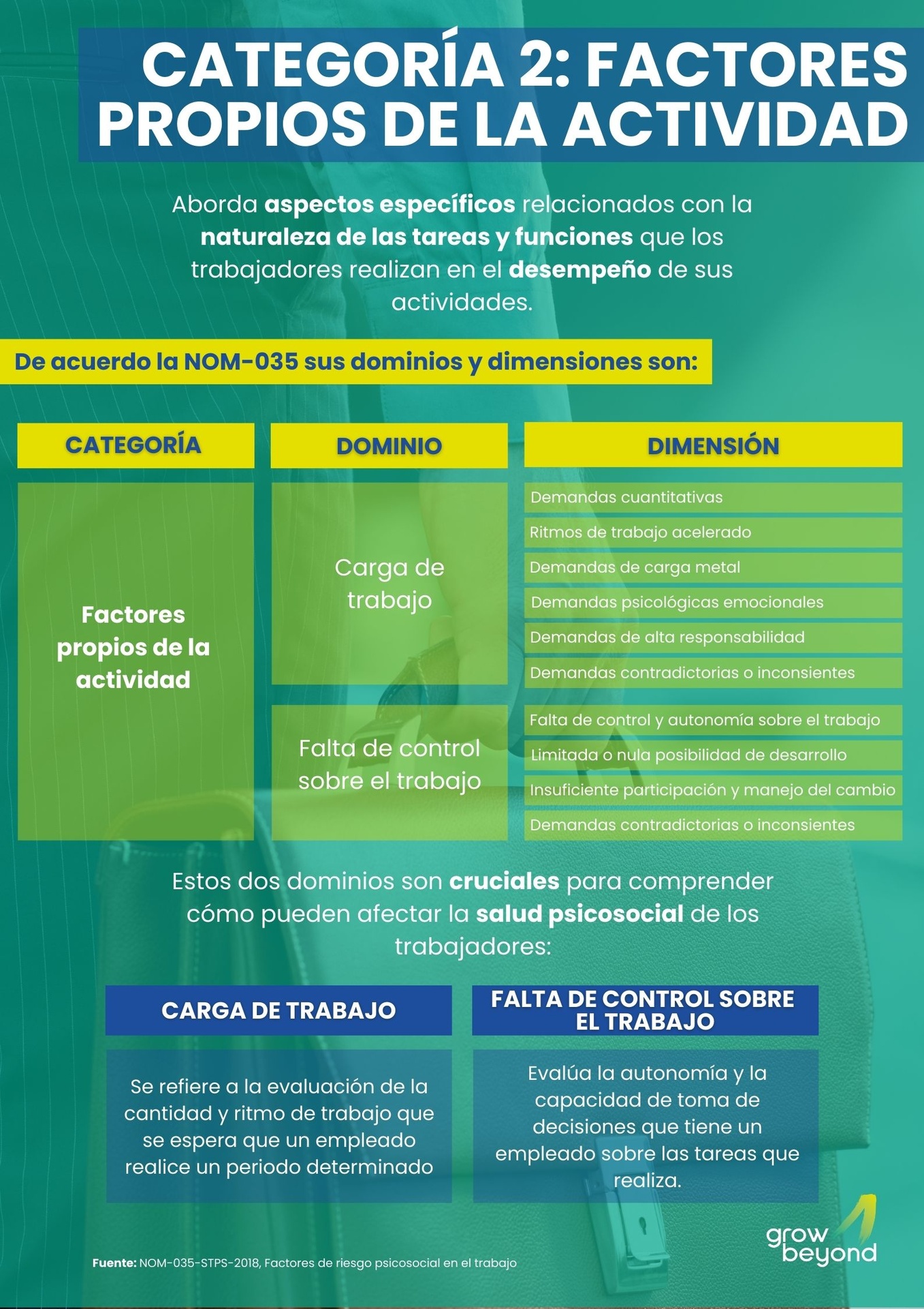 Categoría 2 Factores Propios De La Actividad